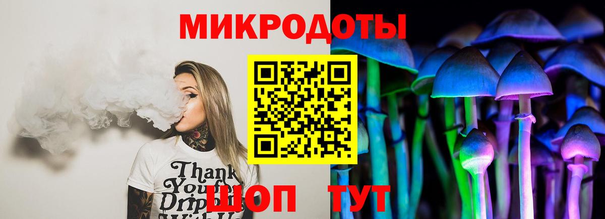 Псилоцибиновые грибы Psilocybine cubensis Гусиноозёрск