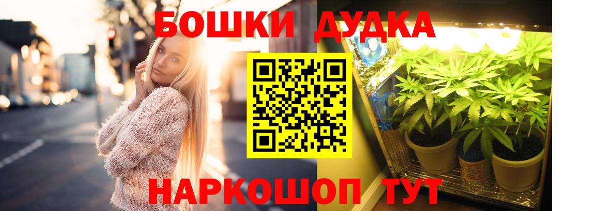 Бошки Шишки ГИДРОПОН Гусиноозёрск